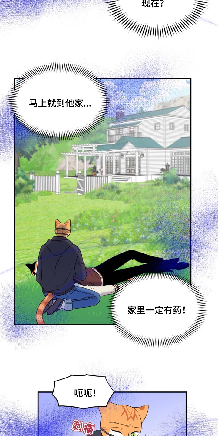 第62章：【第二季】撑过这一次就行16