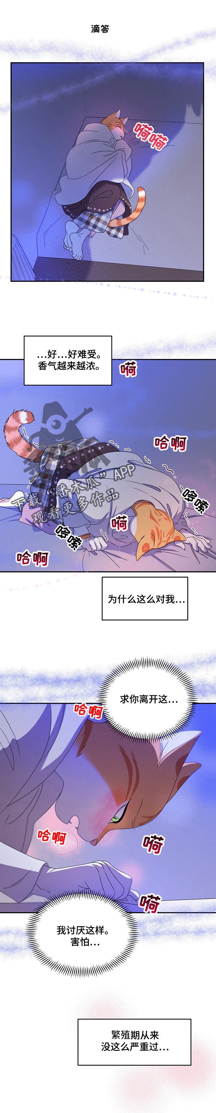 第7章：又来3