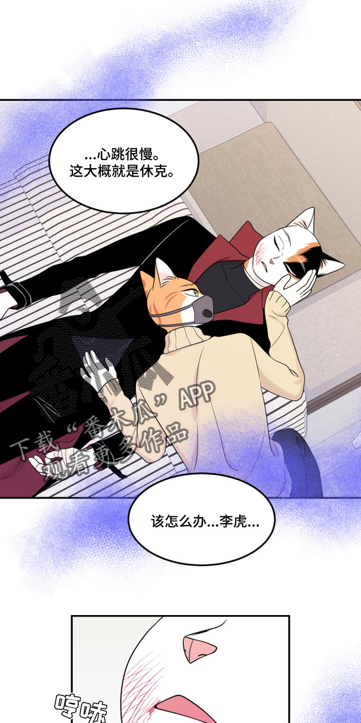 第51章：决定4