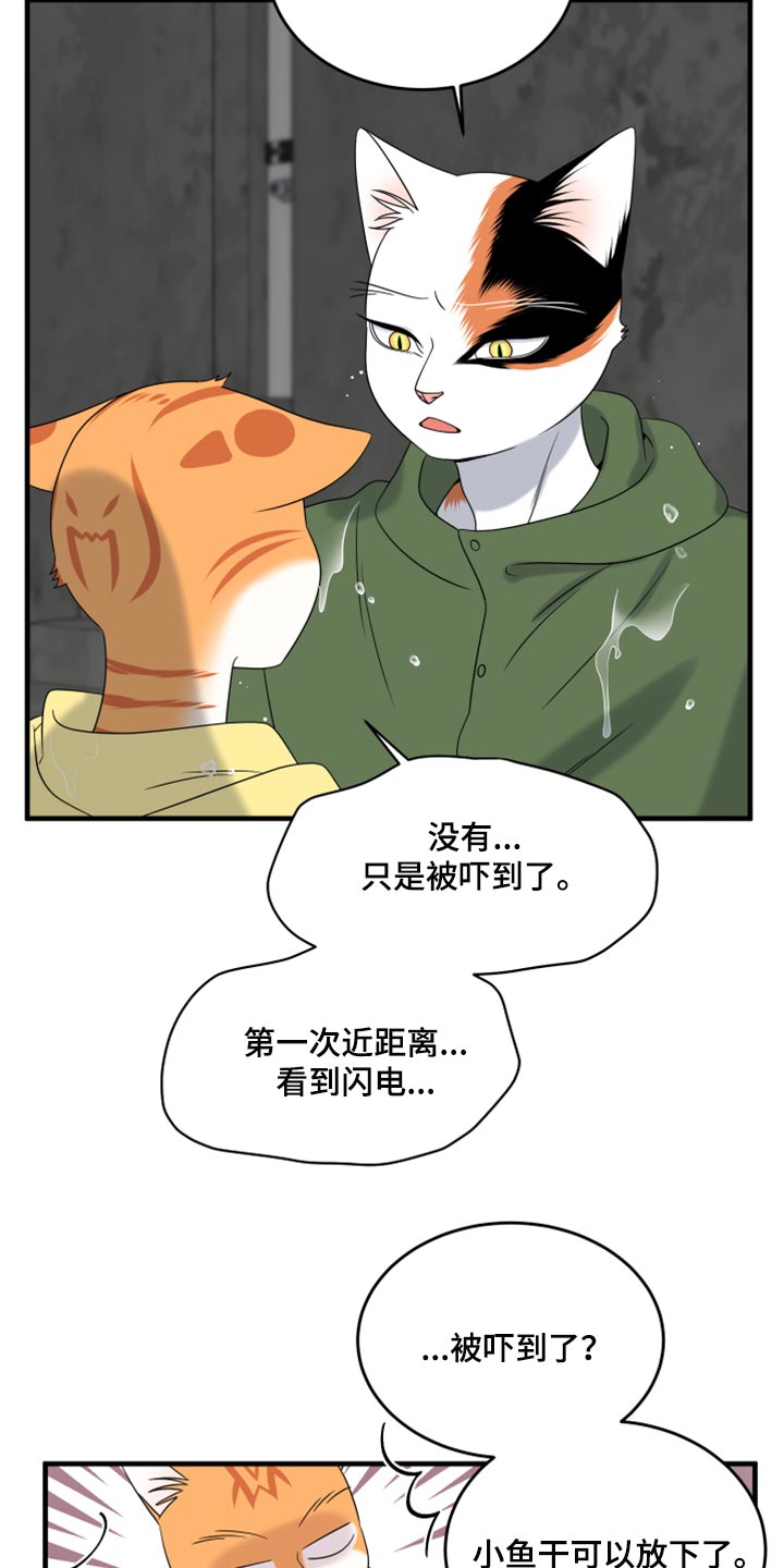 第88章：【第二季】台风23
