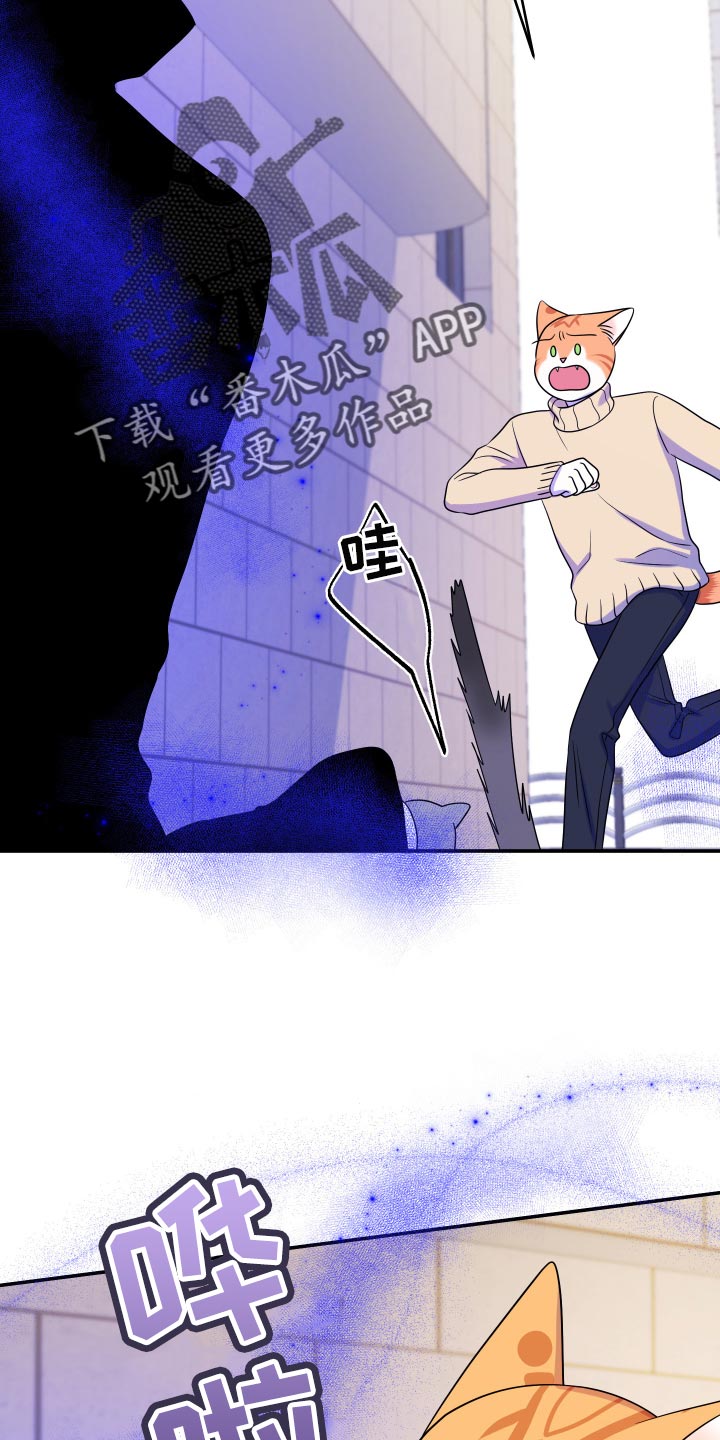 第50章：恶斗29