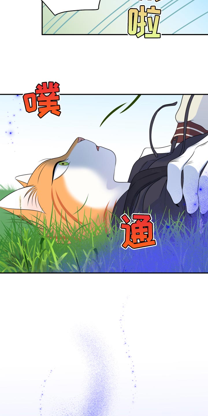 第60章：【第二季】失去理智20