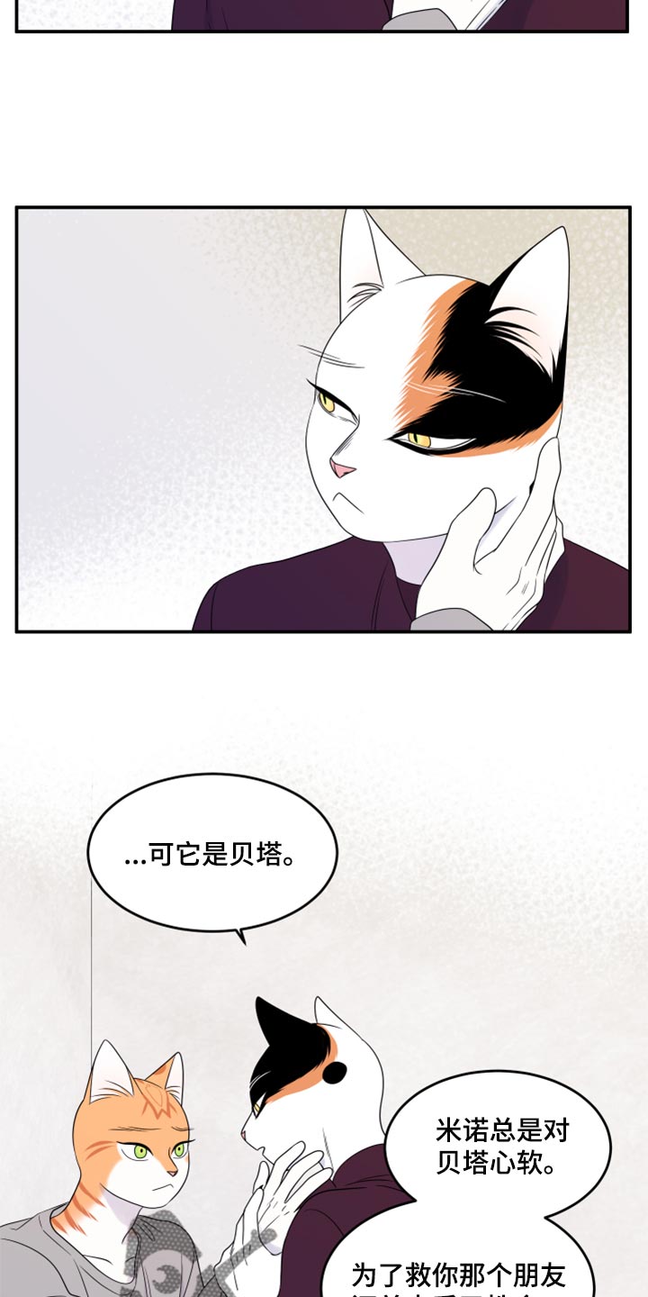 第55章：【第二季】你再坚持一下2