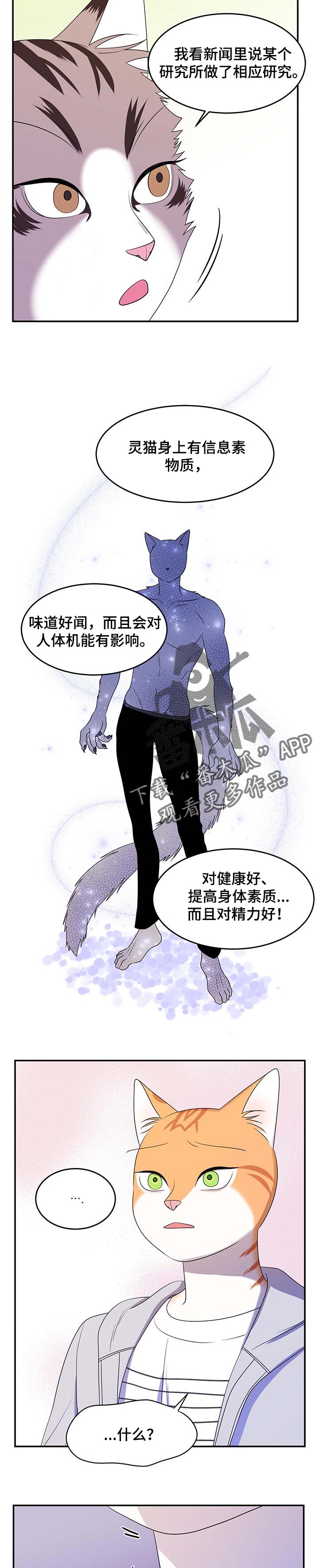 第19章：信息素2
