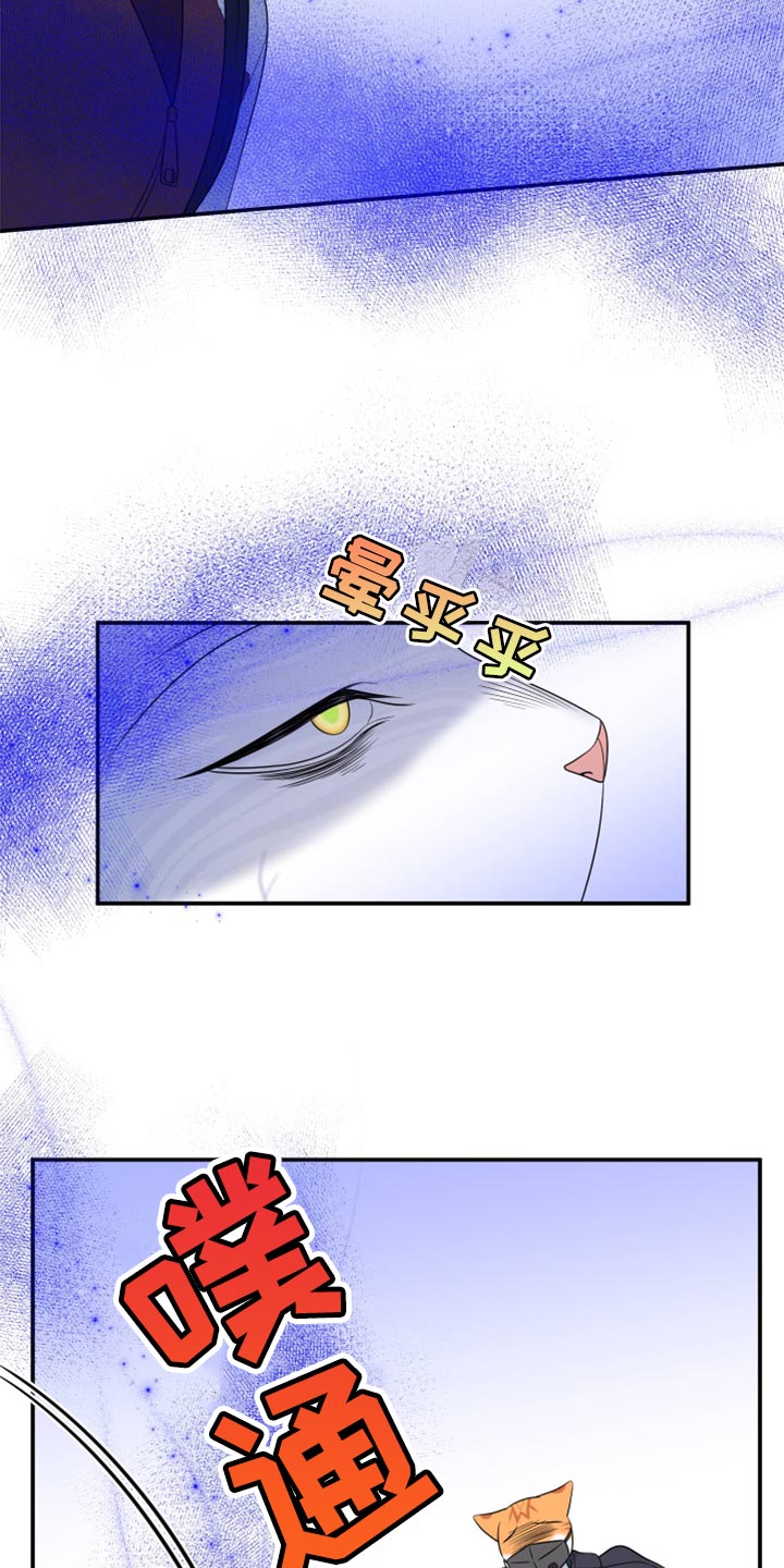 第62章：【第二季】撑过这一次就行7
