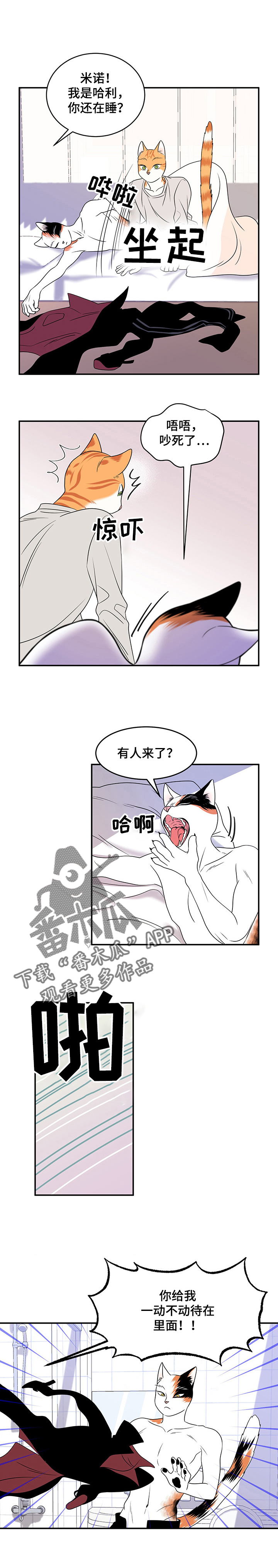 第4章：讨厌我5