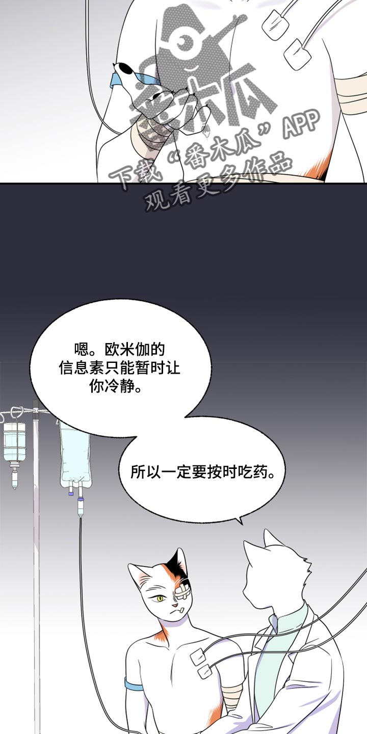 第52章：我的人生我做主（第一季完结）6