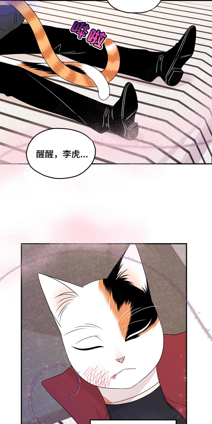 第51章：决定21