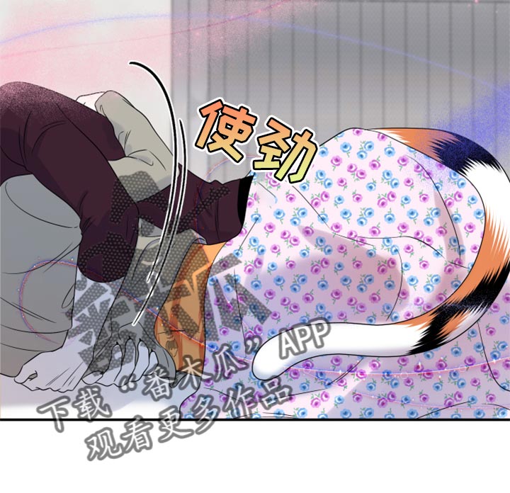 第54章：【第二季】你要丢下我?10