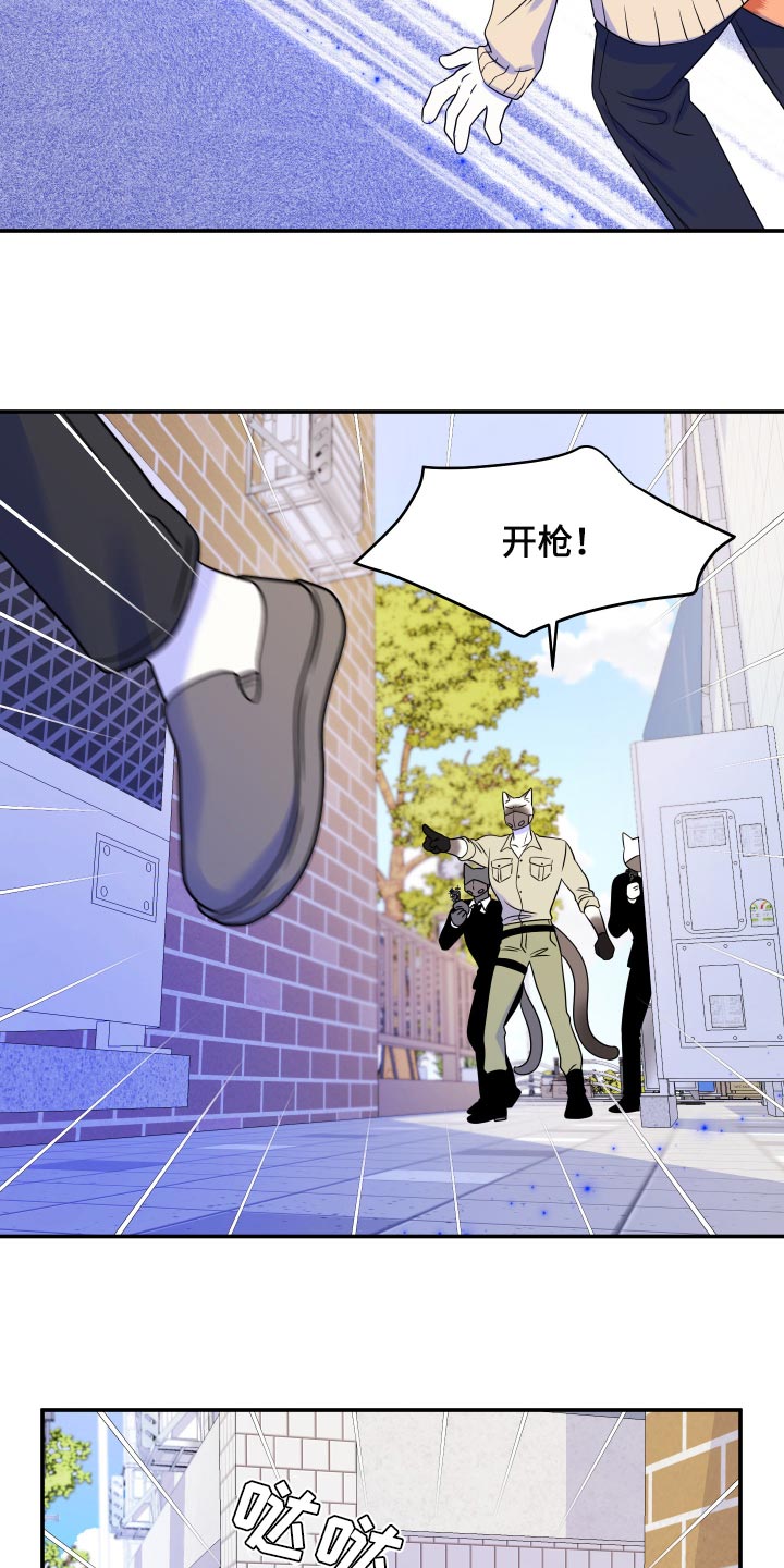 第49章：让我保护你23