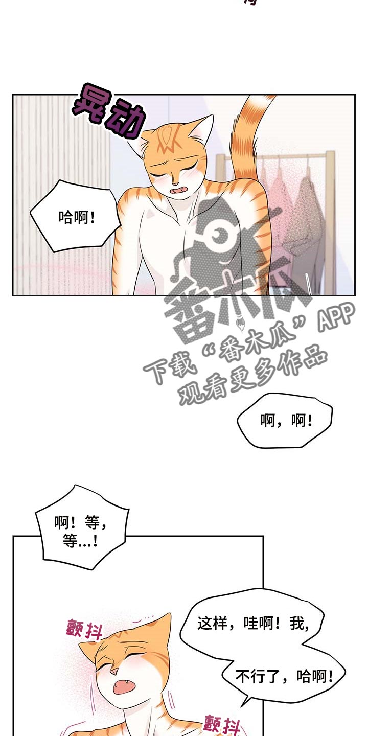 第46章：征服14