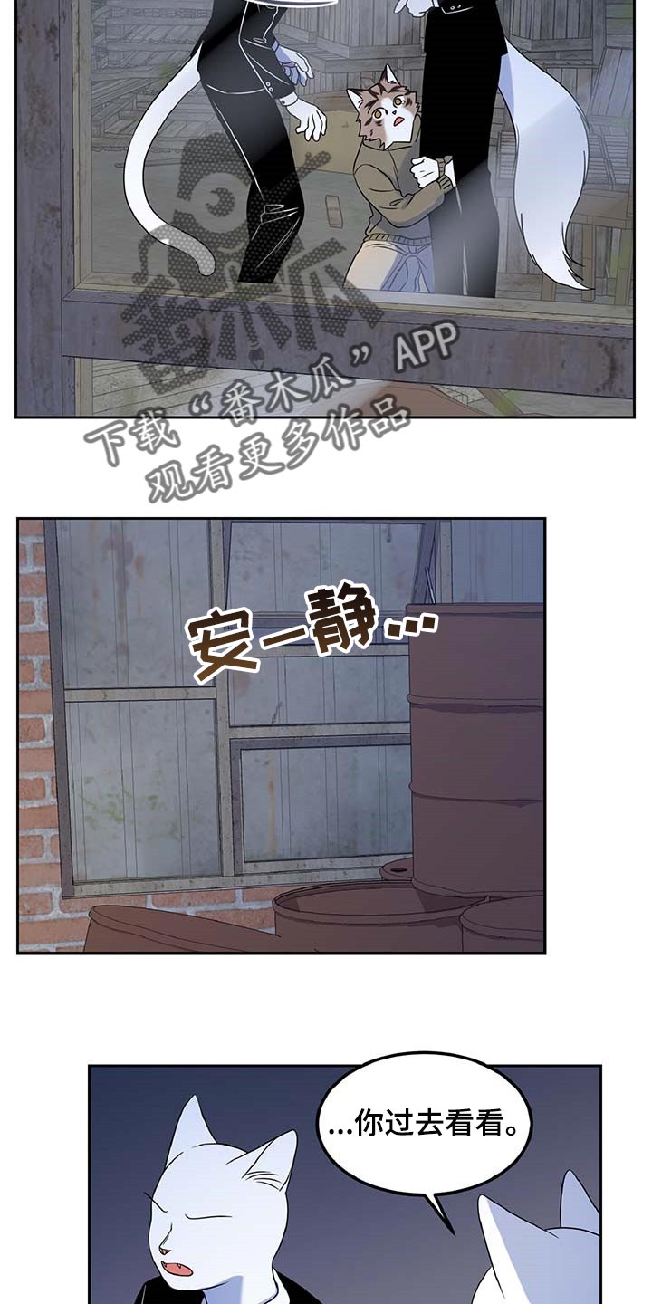 第37章：我很强的6