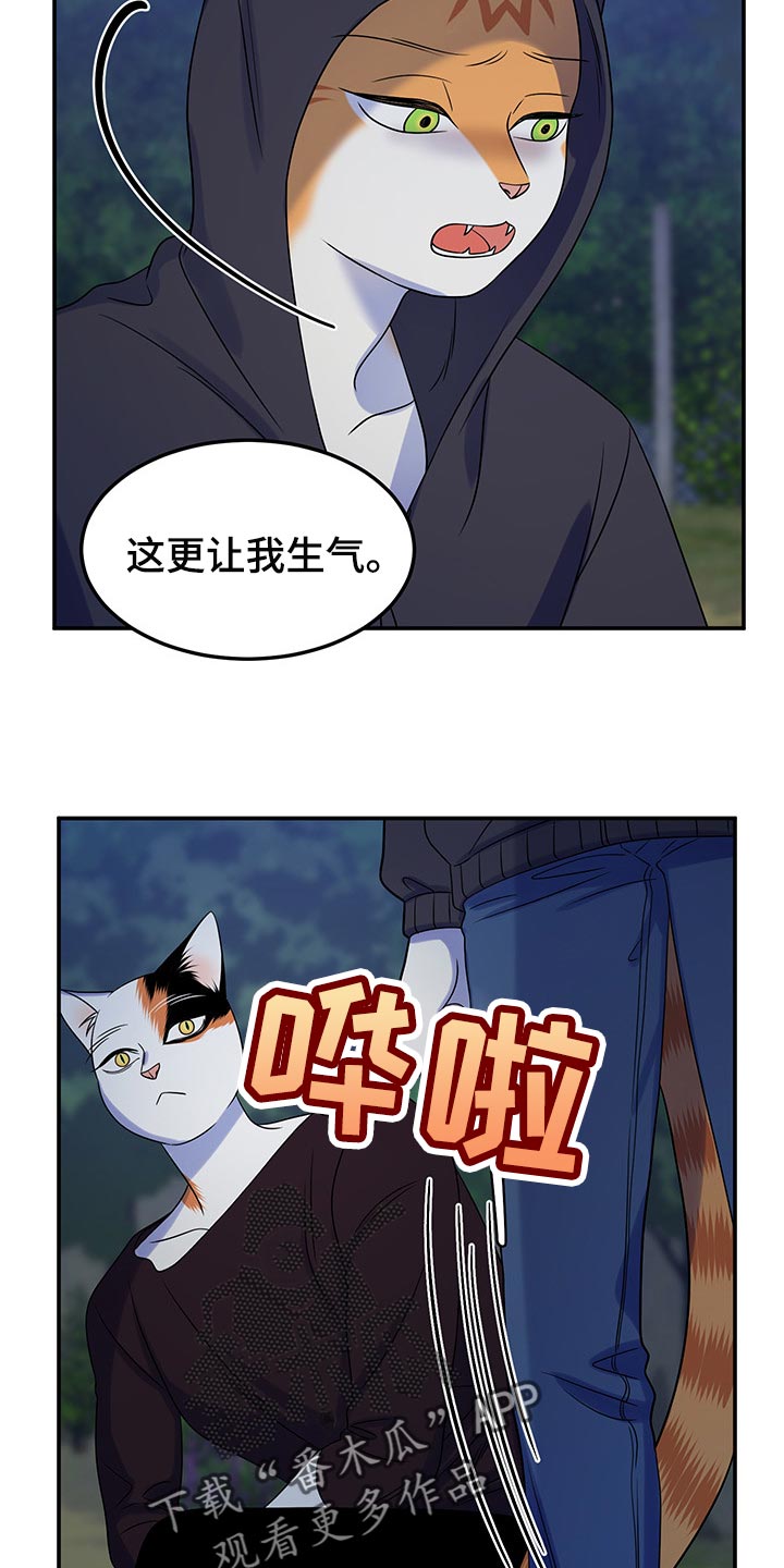 第36章：道歉20