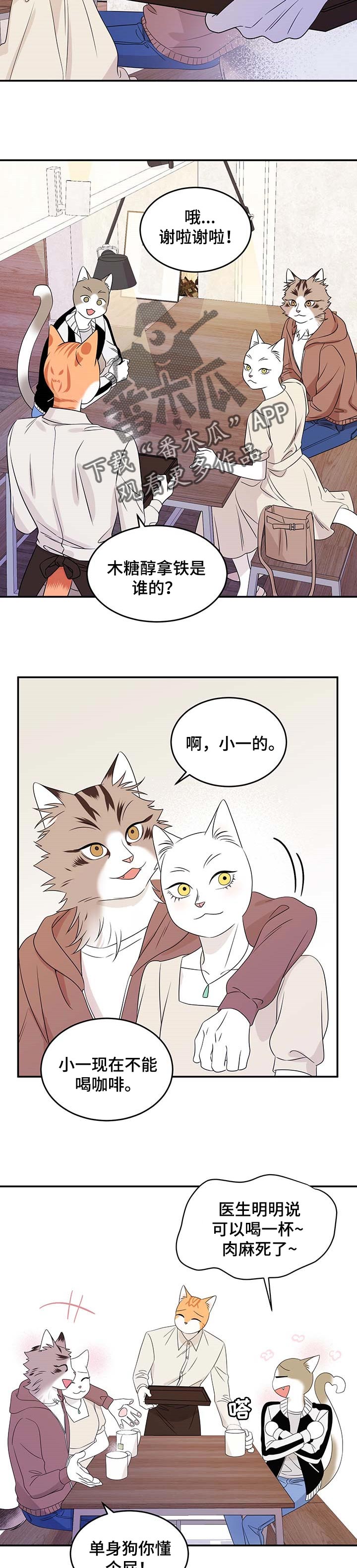 第24章：可惜8