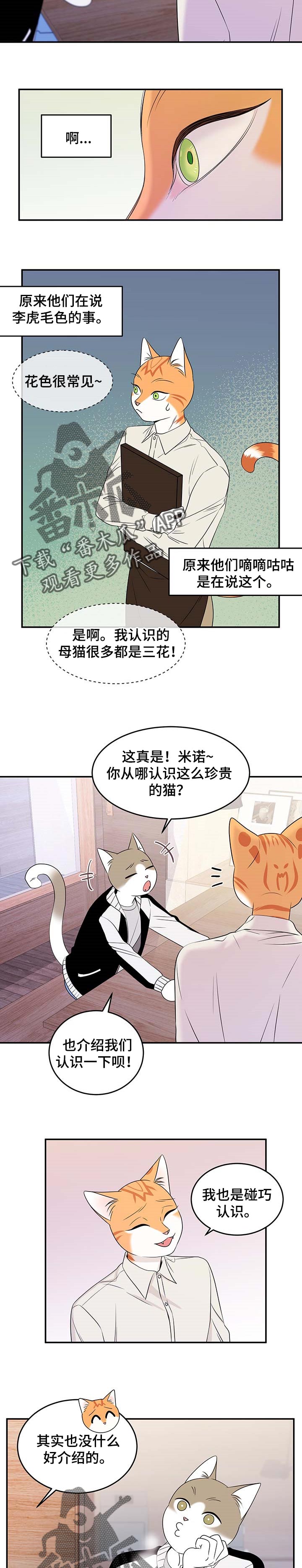 第25章：珍贵1