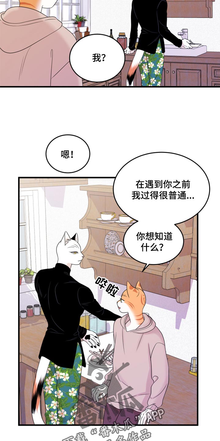 第74章：【第二季】妙鱼钥匙扣4