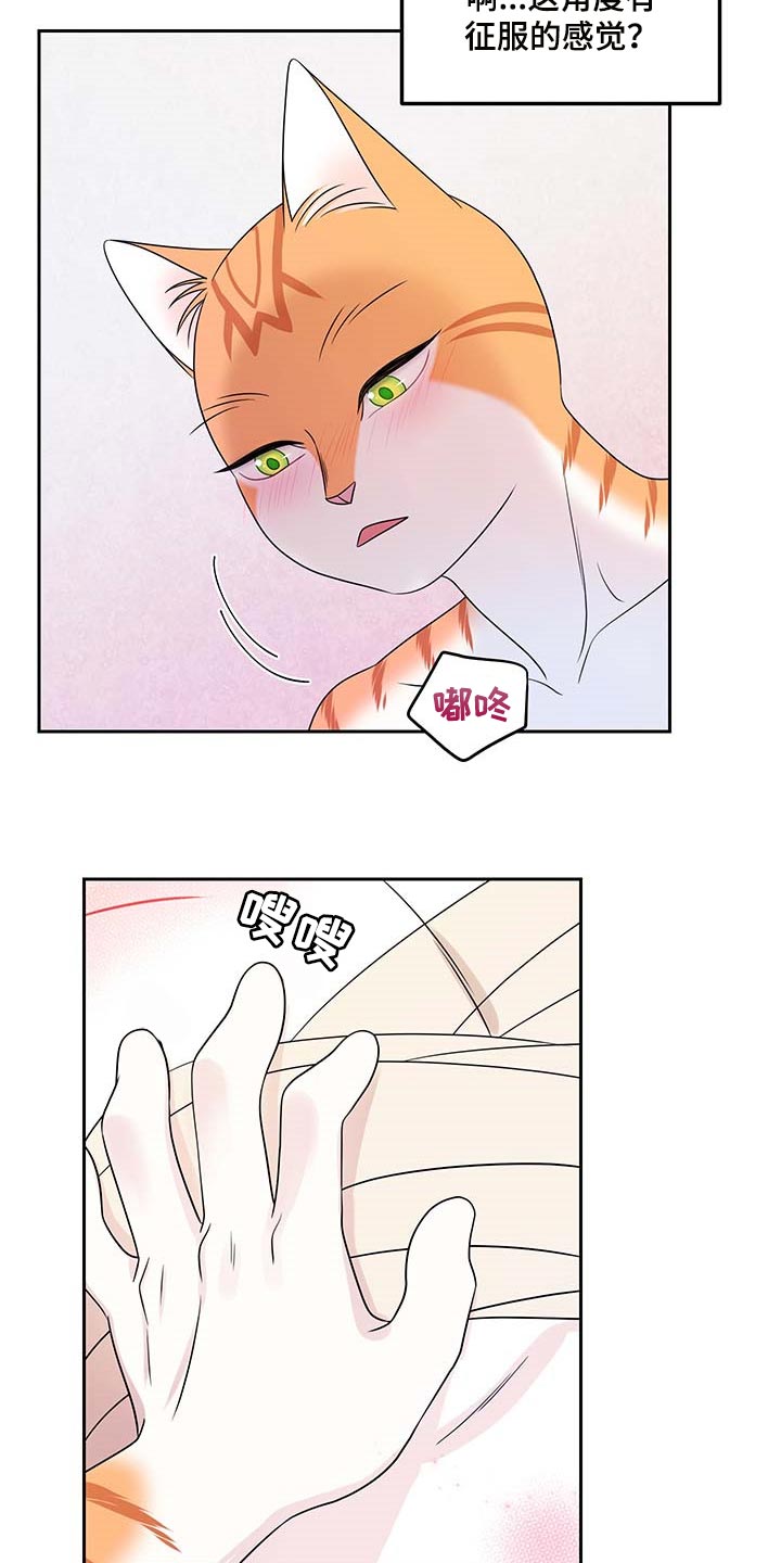 第46章：征服8