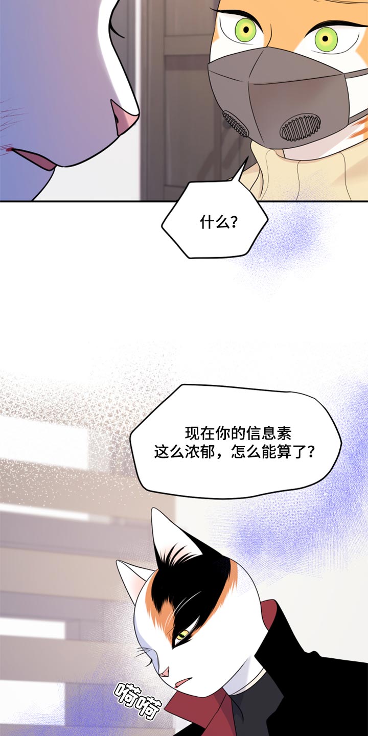 第52章：我的人生我做主（第一季完结）17