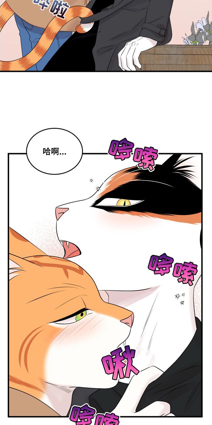 第104章：【第二季】更重要的事8