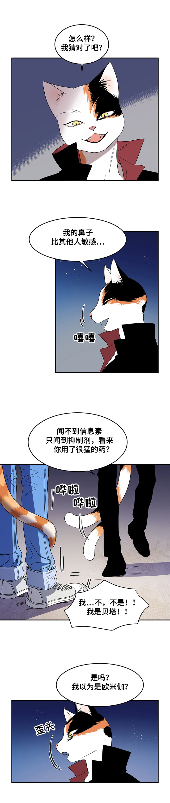 第1章：灵猫6