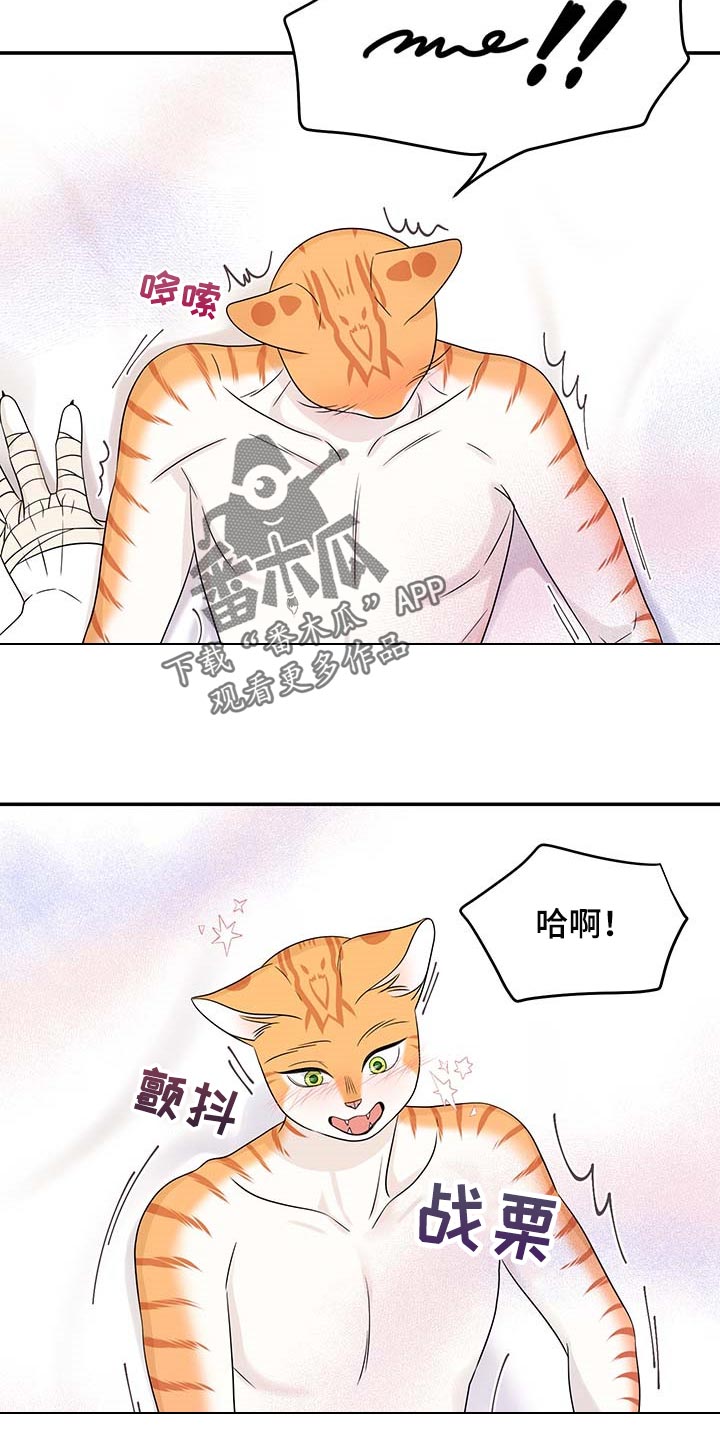 第47章：好好看着你11