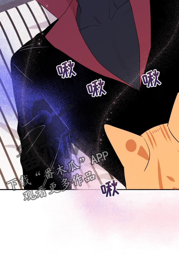第51章：决定14