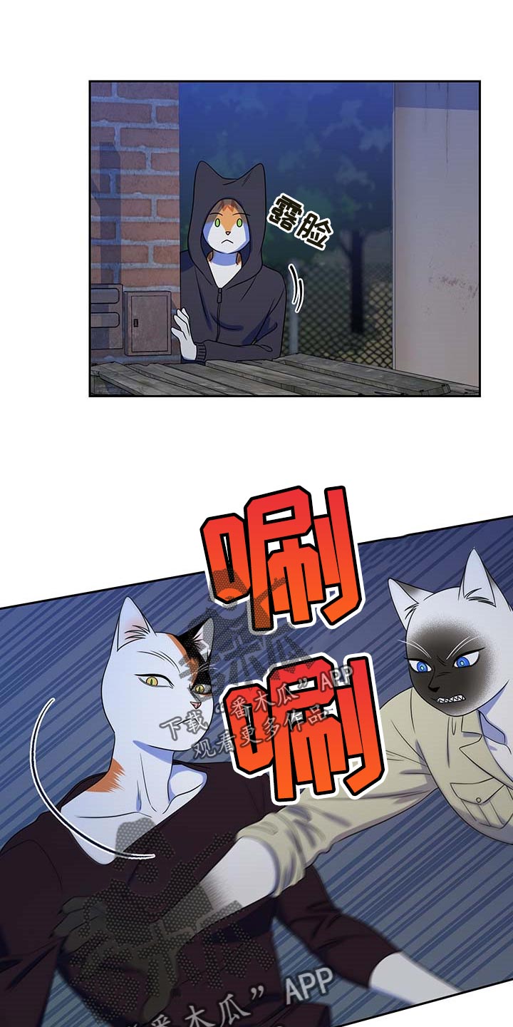 第39章：撤离0