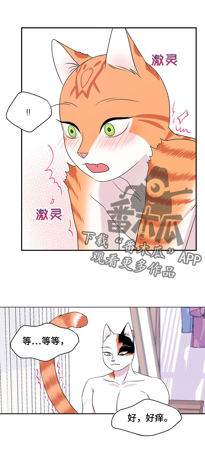 第12章：义务8