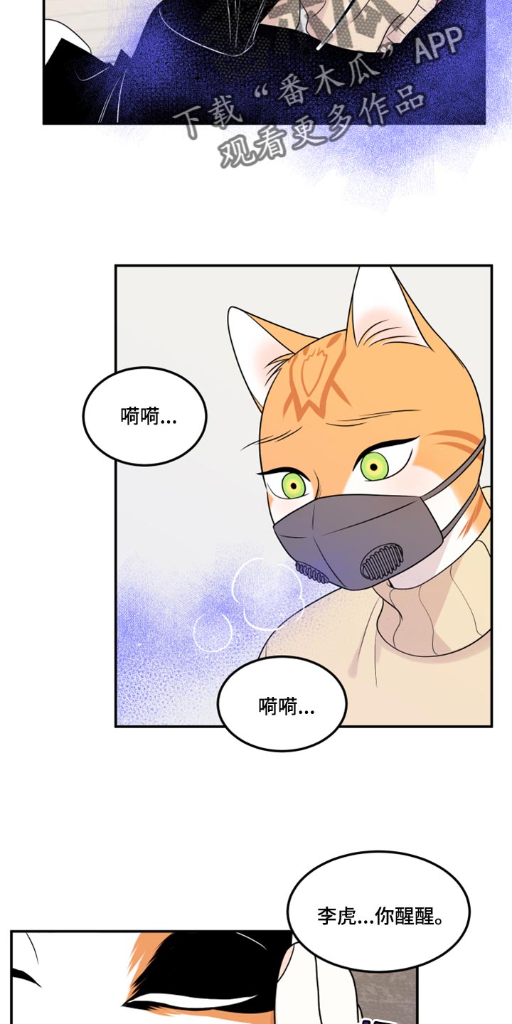 第51章：决定2