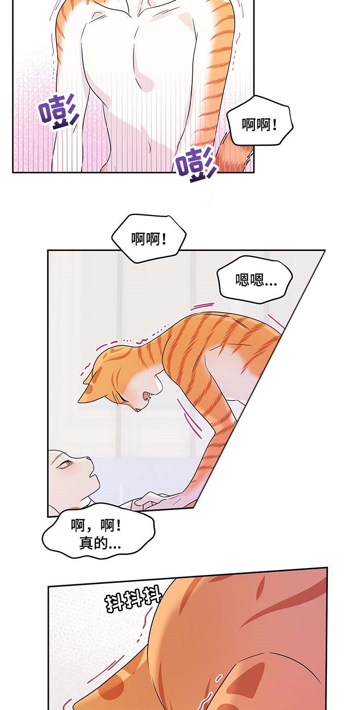 第46章：征服15