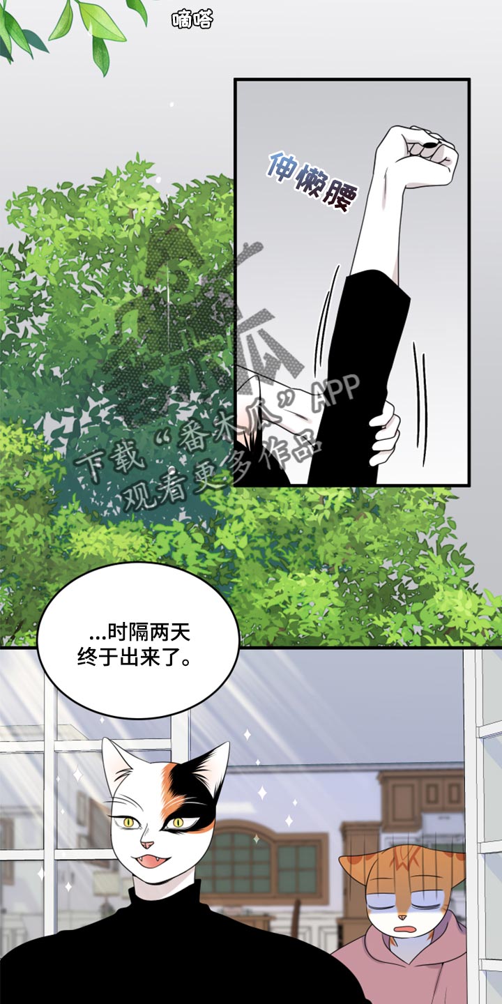 第89章：【第二季】乱七八糟12