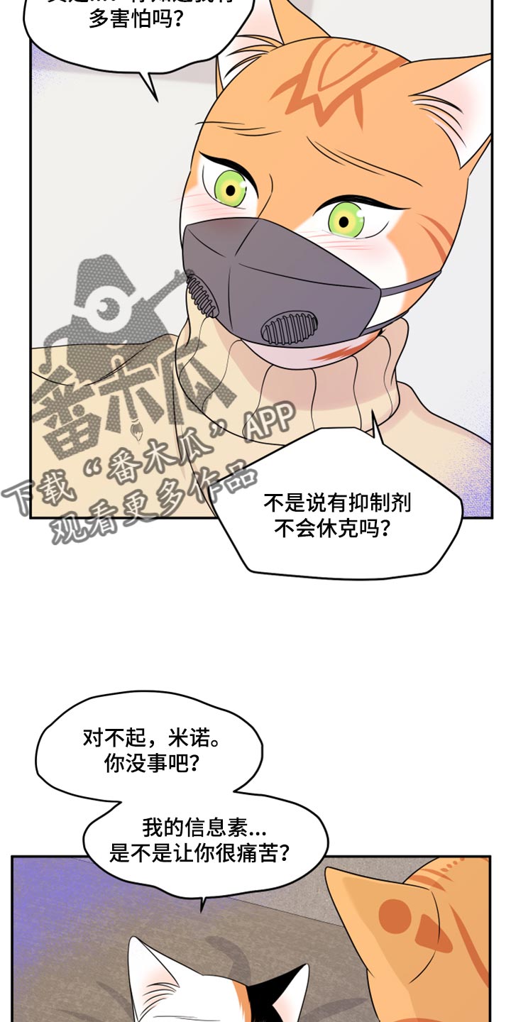 第52章：我的人生我做主（第一季完结）13