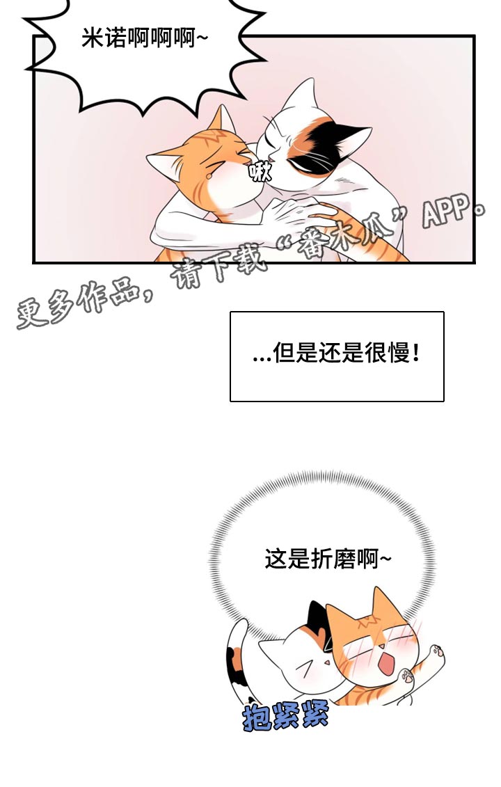 第72章：【第二季】这是折磨啊18