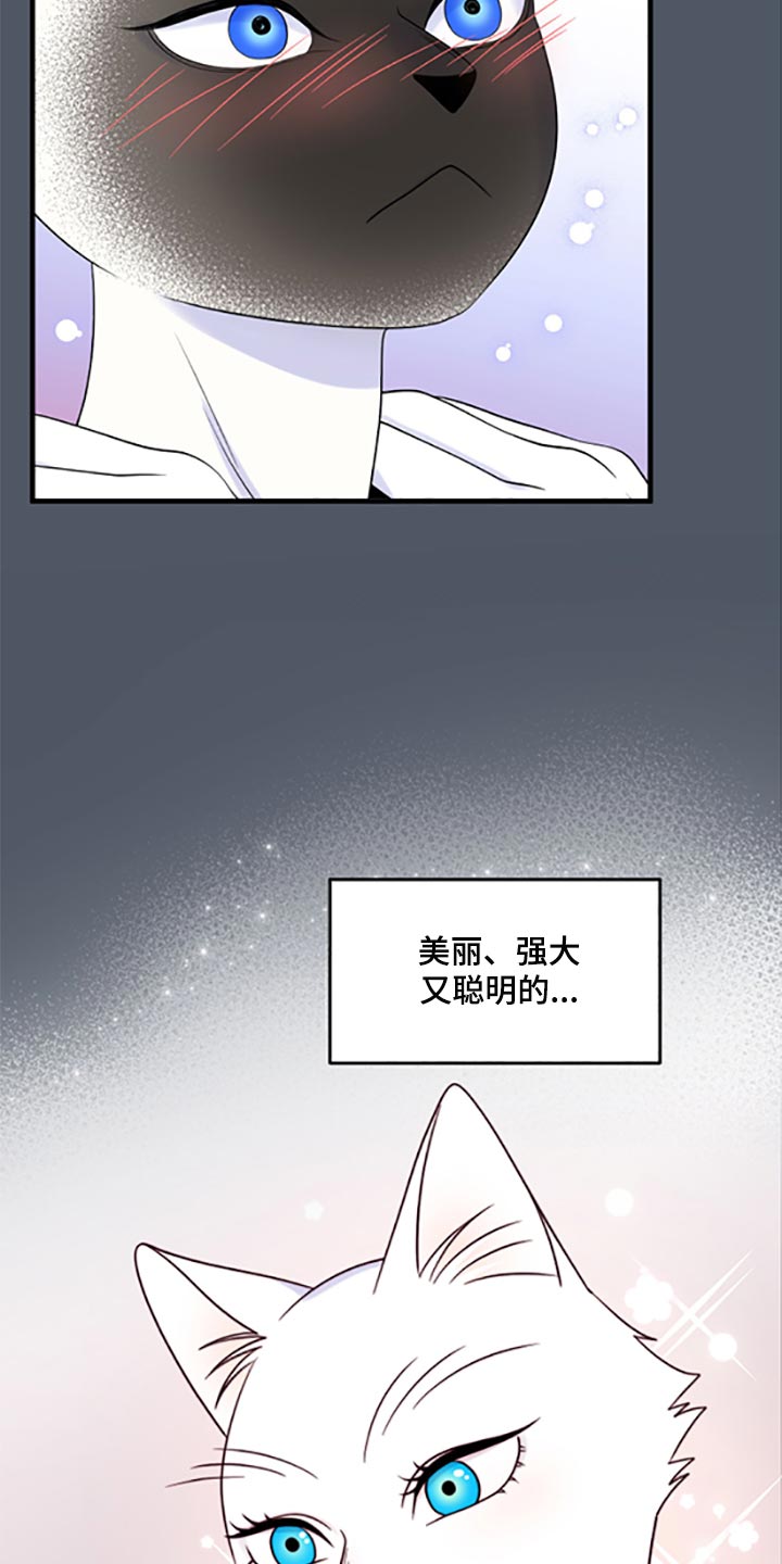 第77章：【第二季】一定要在一起！17