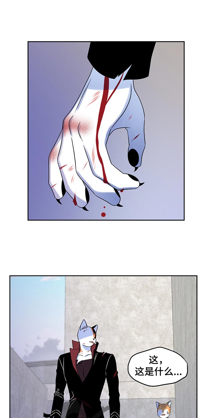 第44章：我们回家吧6
