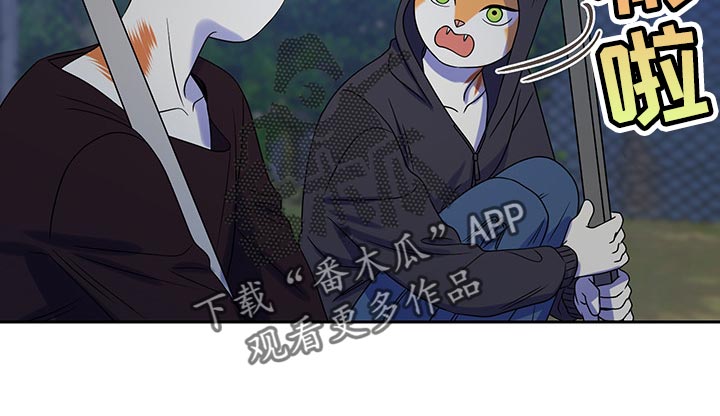 第36章：道歉11