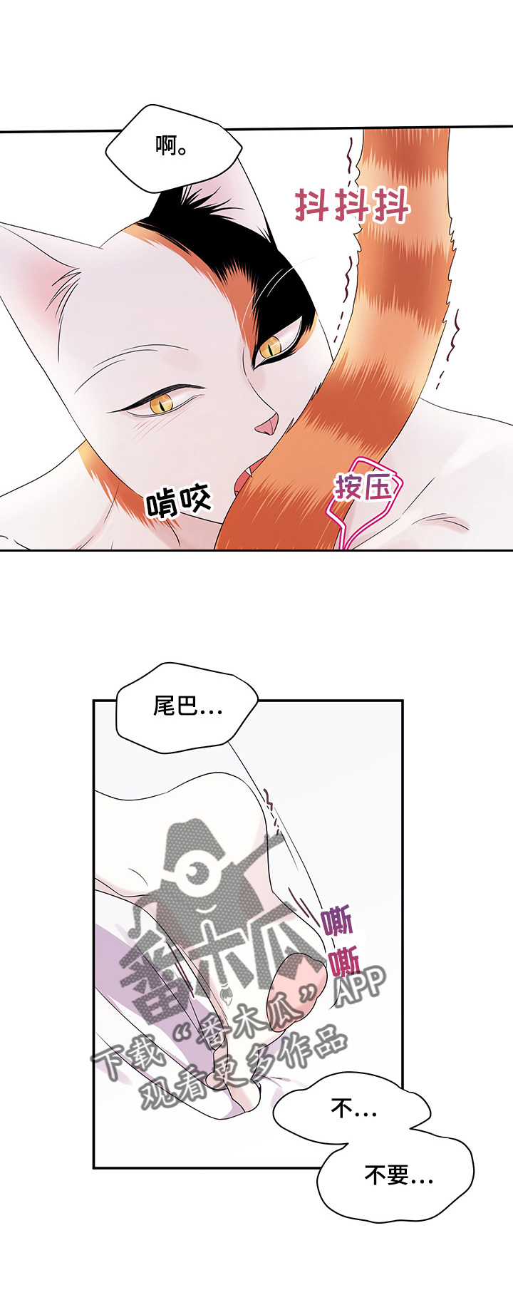 第12章：义务10