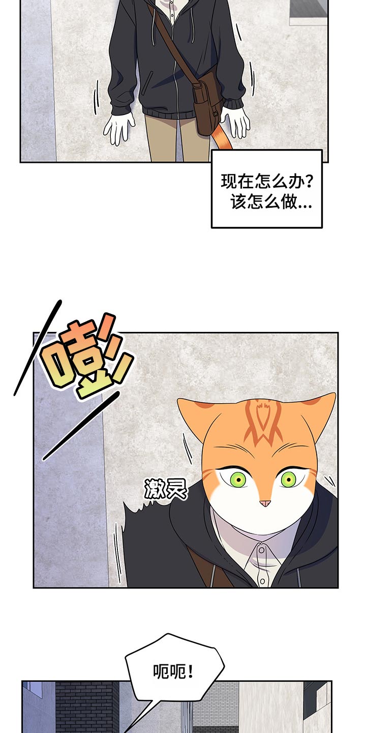 第43章：世道不太平21
