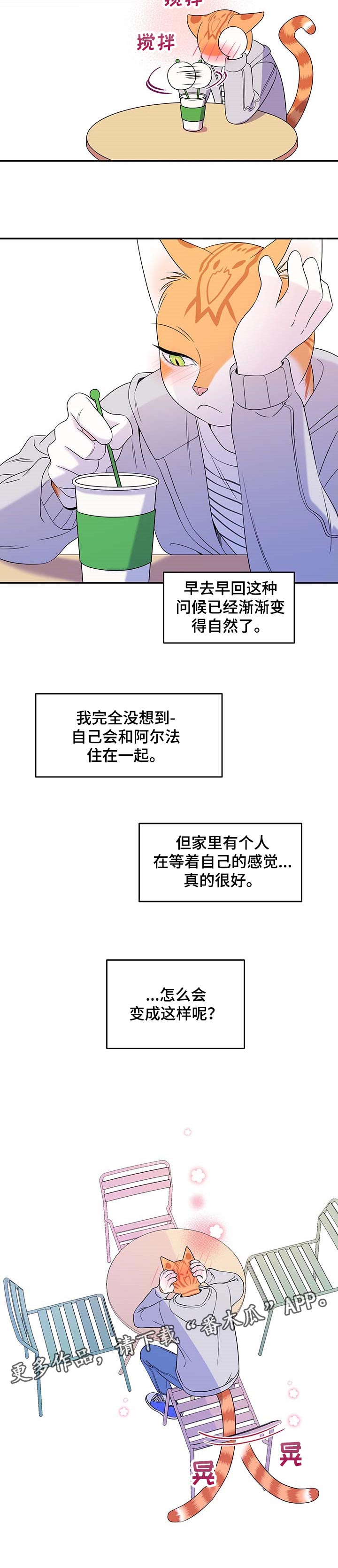 第17章：早去早回11
