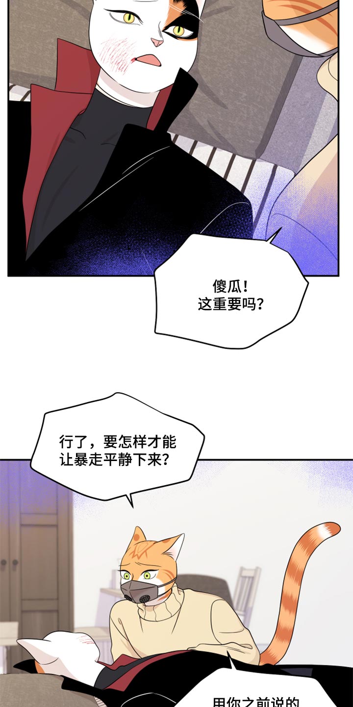 第52章：我的人生我做主（第一季完结）14