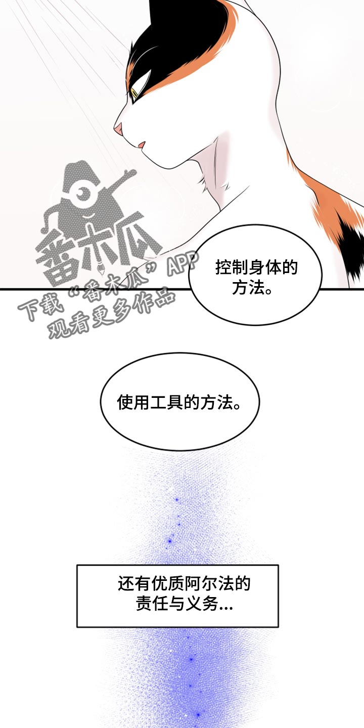 第69章：【第二季】责任与义务15