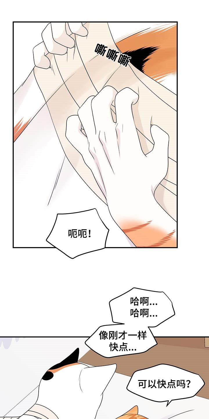 第47章：好好看着你4
