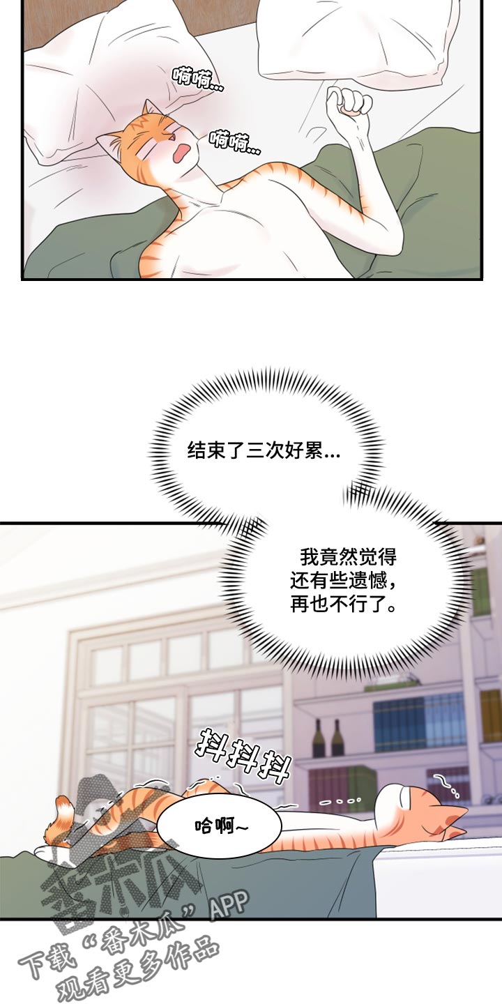 第73章：【第二季】绑架灵猫2