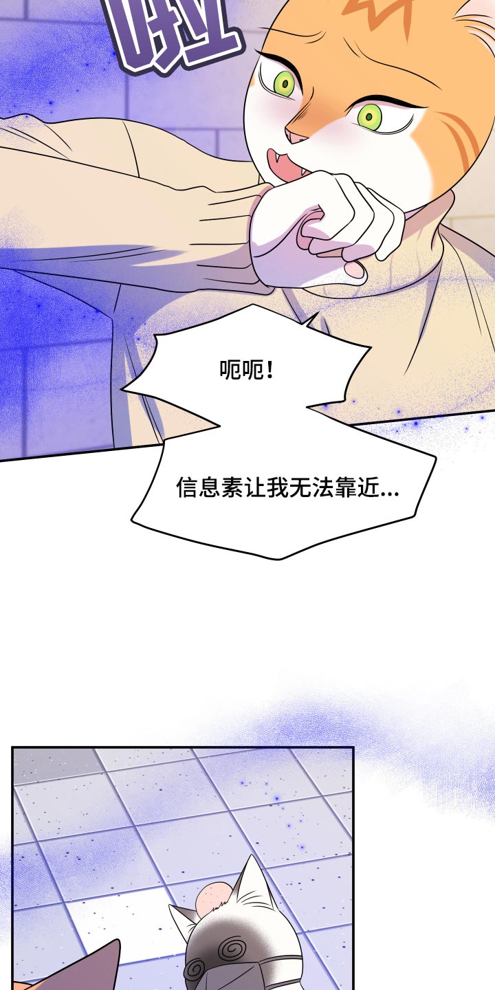 第50章：恶斗30