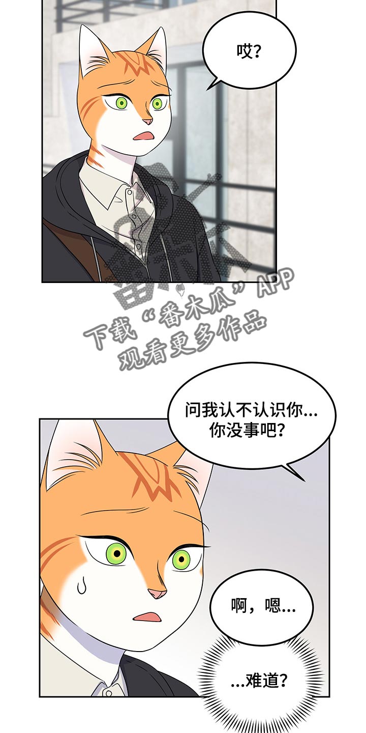 第43章：世道不太平13