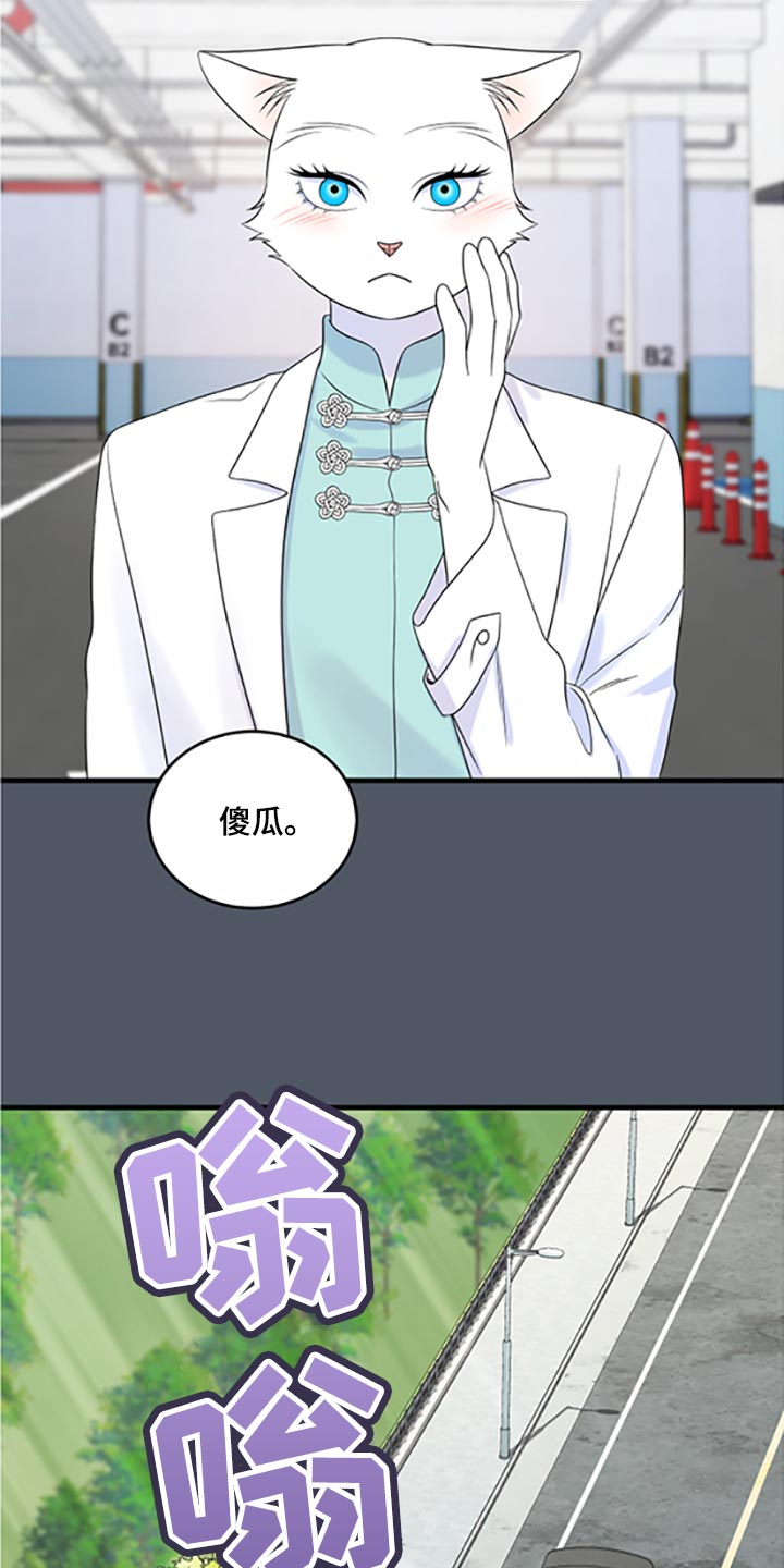 第79章：【第二季】傻瓜9