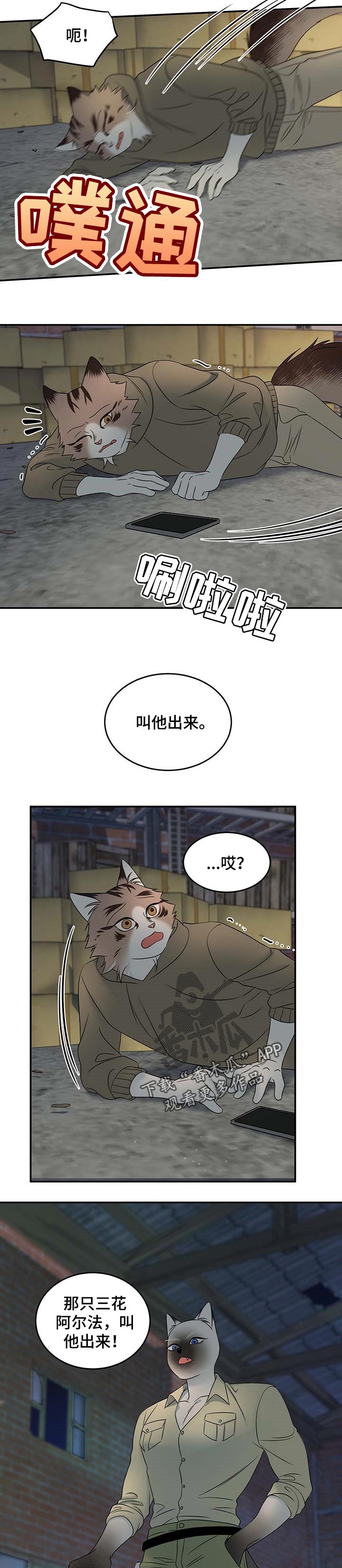 第31章：叫他出来6
