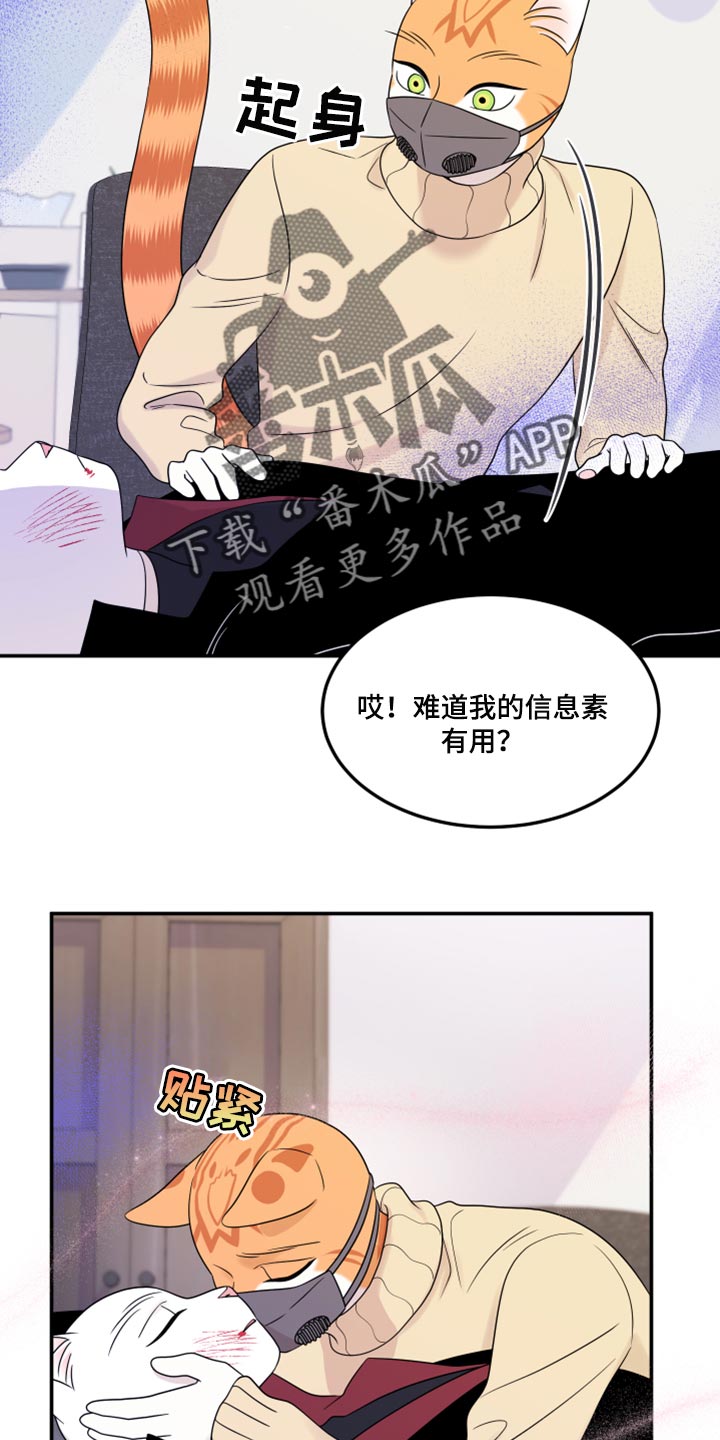第51章：决定6