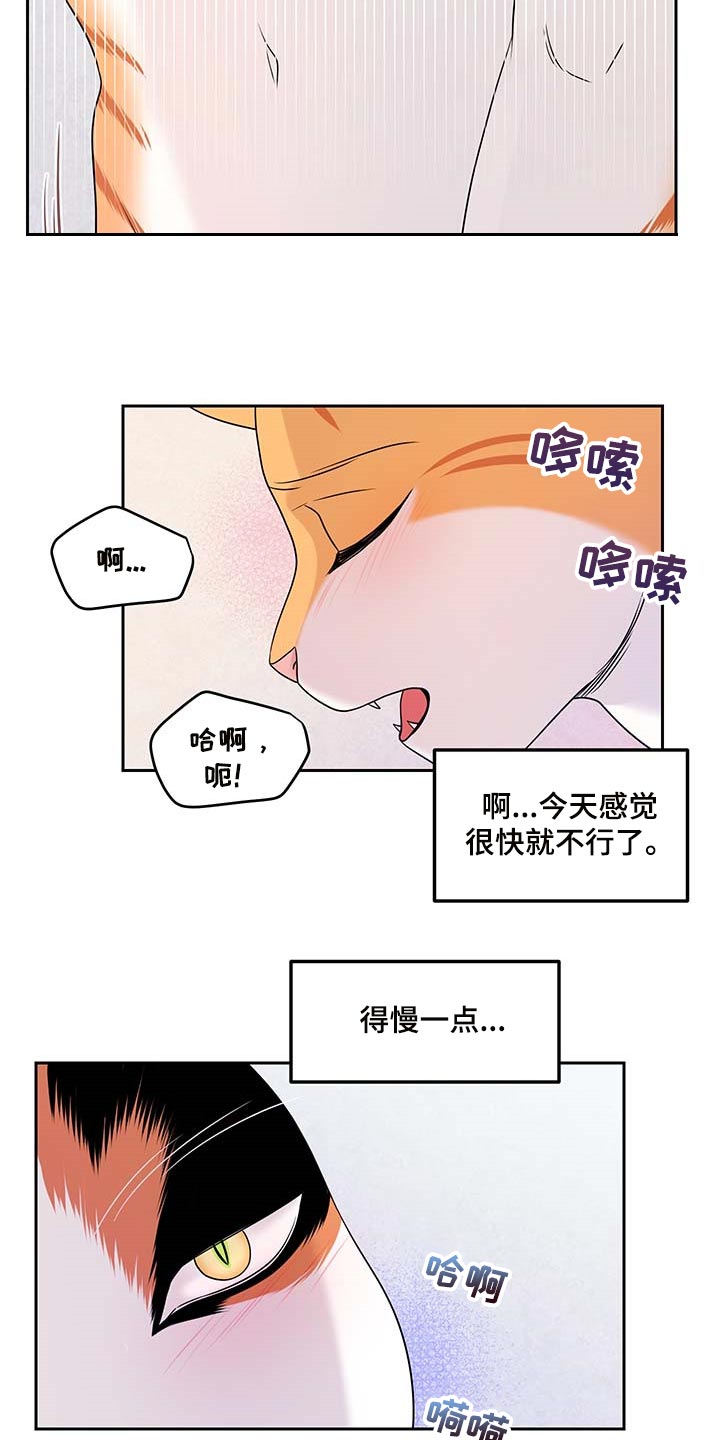 第46章：征服13