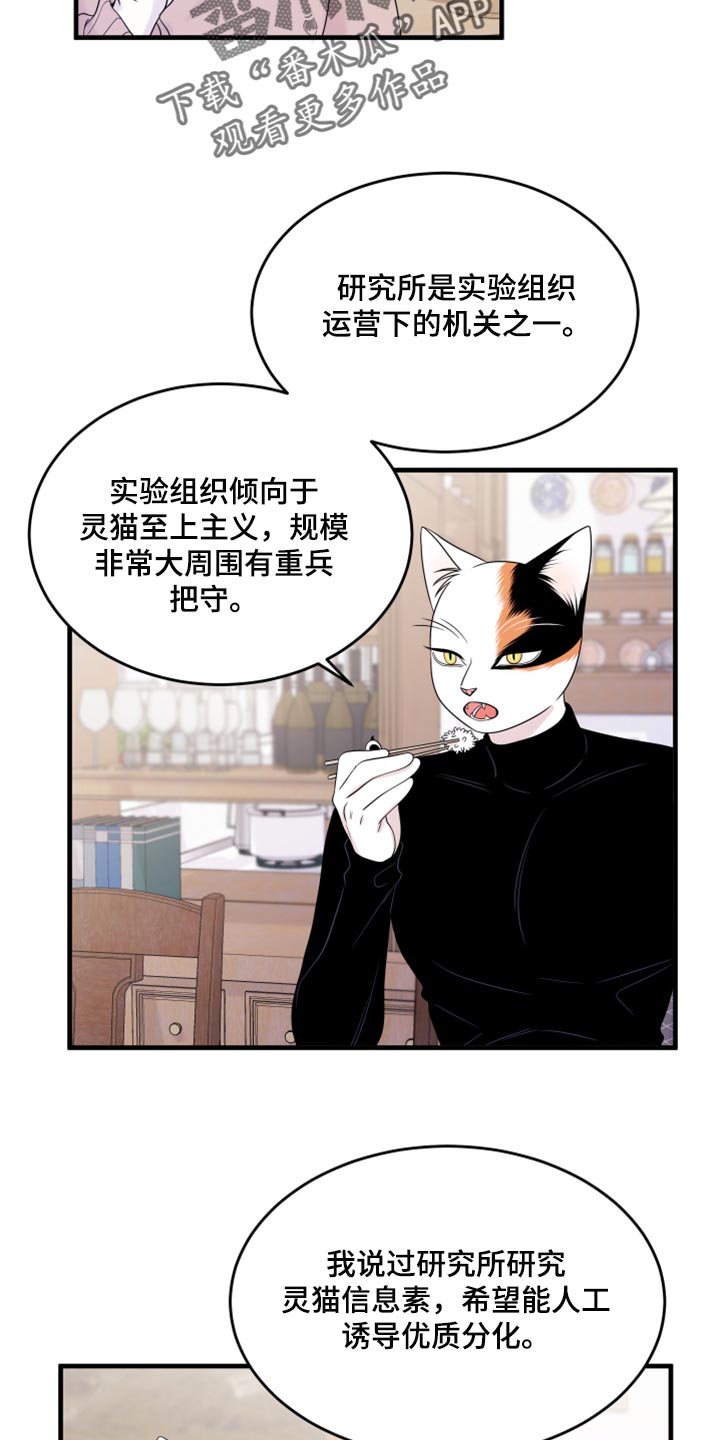 第73章：【第二季】绑架灵猫12